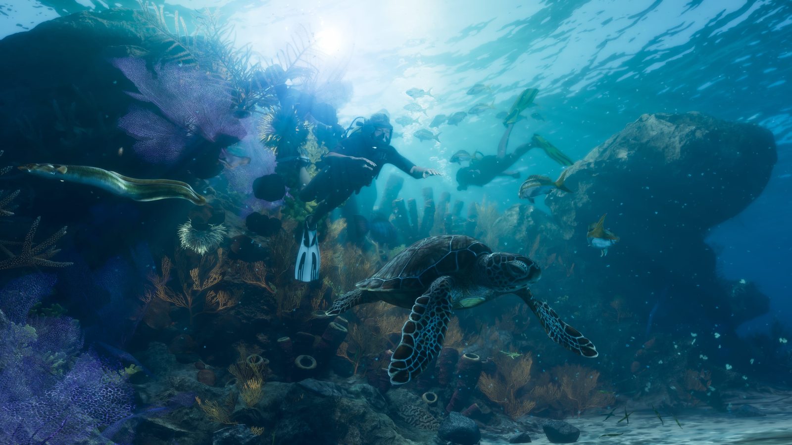 A sea turtle swims over a coral reef while two scuba divers and an eel are nearby in the sunlit shallows of the Leonida Keys.