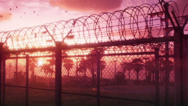 Coiled razor wire tops a tall chain-link fence, with palm trees and a flock of birds silhouetted against a pink and orange sunset sky.