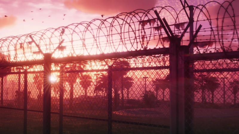 Coils of razor wire top a chain-link fence against a pink and orange sunset sky, with palm trees and a flock of birds behind.