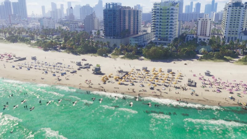 Aerial view of birds flying over turquoise surf towards a busy sandy beach at Ocean Beach, with palm trees and tall apartment blocks behind.